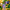 Combo Seleção dos Favoritos -  Booster +  Solar Shine+ Canga do Brasil + 1 Glitter