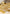 Promotion banner
